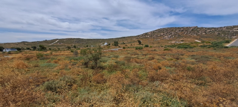 0 Bedroom Property for Sale in Steenbergs Cove Western Cape